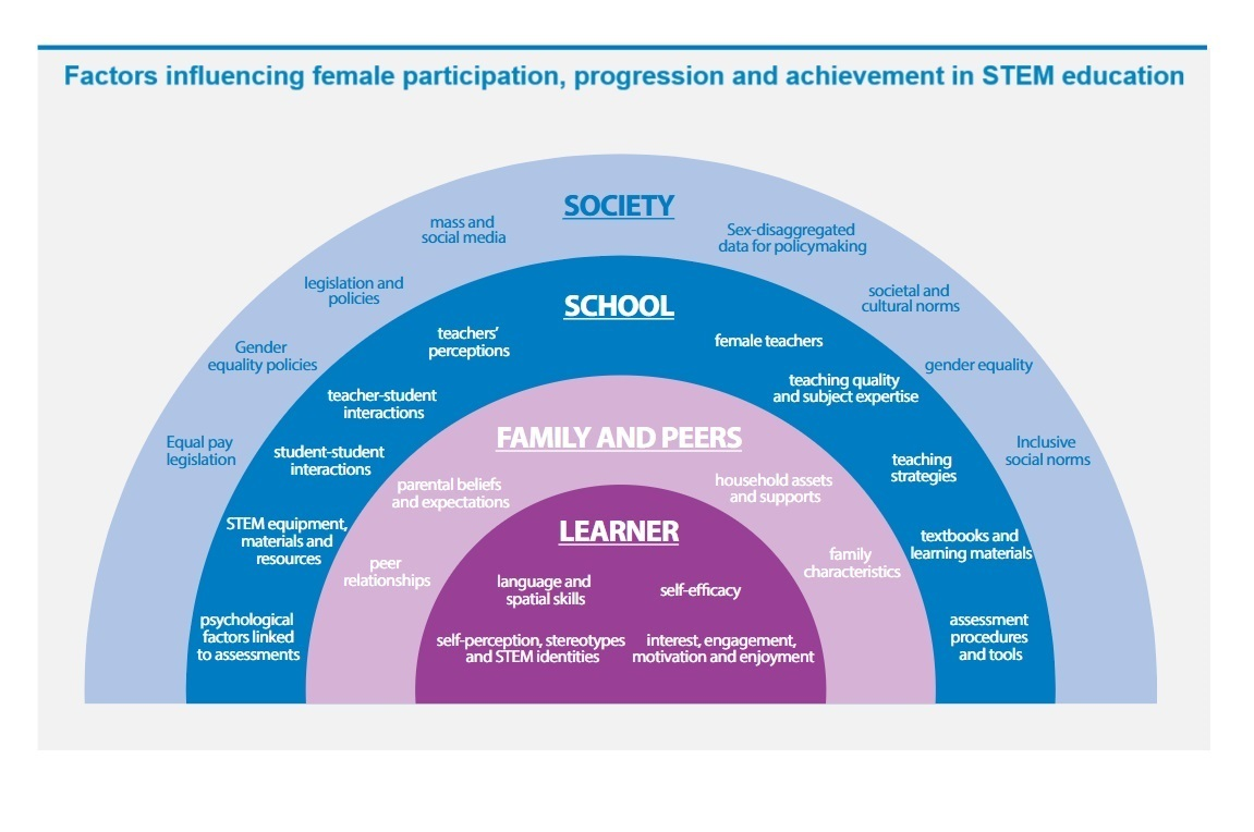 Cracking the code: Girls’ and women’s education in science, technology, engineering and mathematics (STEM). United Nations Educational, Scientific and Cultural Organization (UNESCO), 2017.